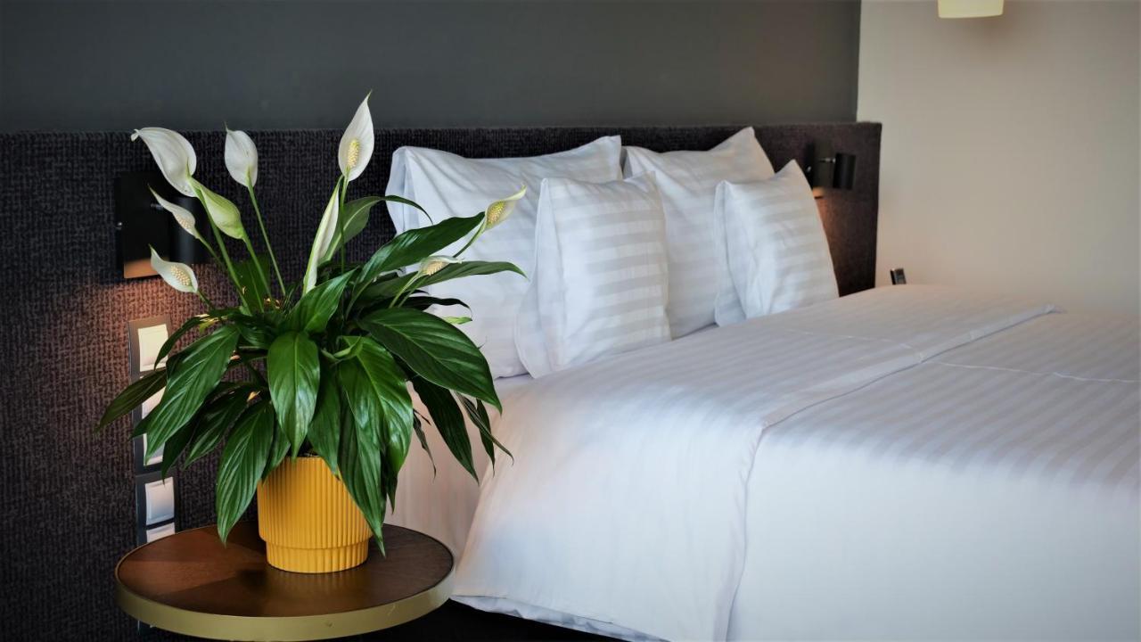 Hotel Werk & Hunedoara